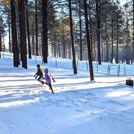 Close To Williams, Flagstaff, Grand Canyon And Sedona Extérieur photo