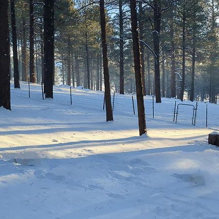 Close To Williams, Flagstaff, Grand Canyon And Sedona Extérieur photo
