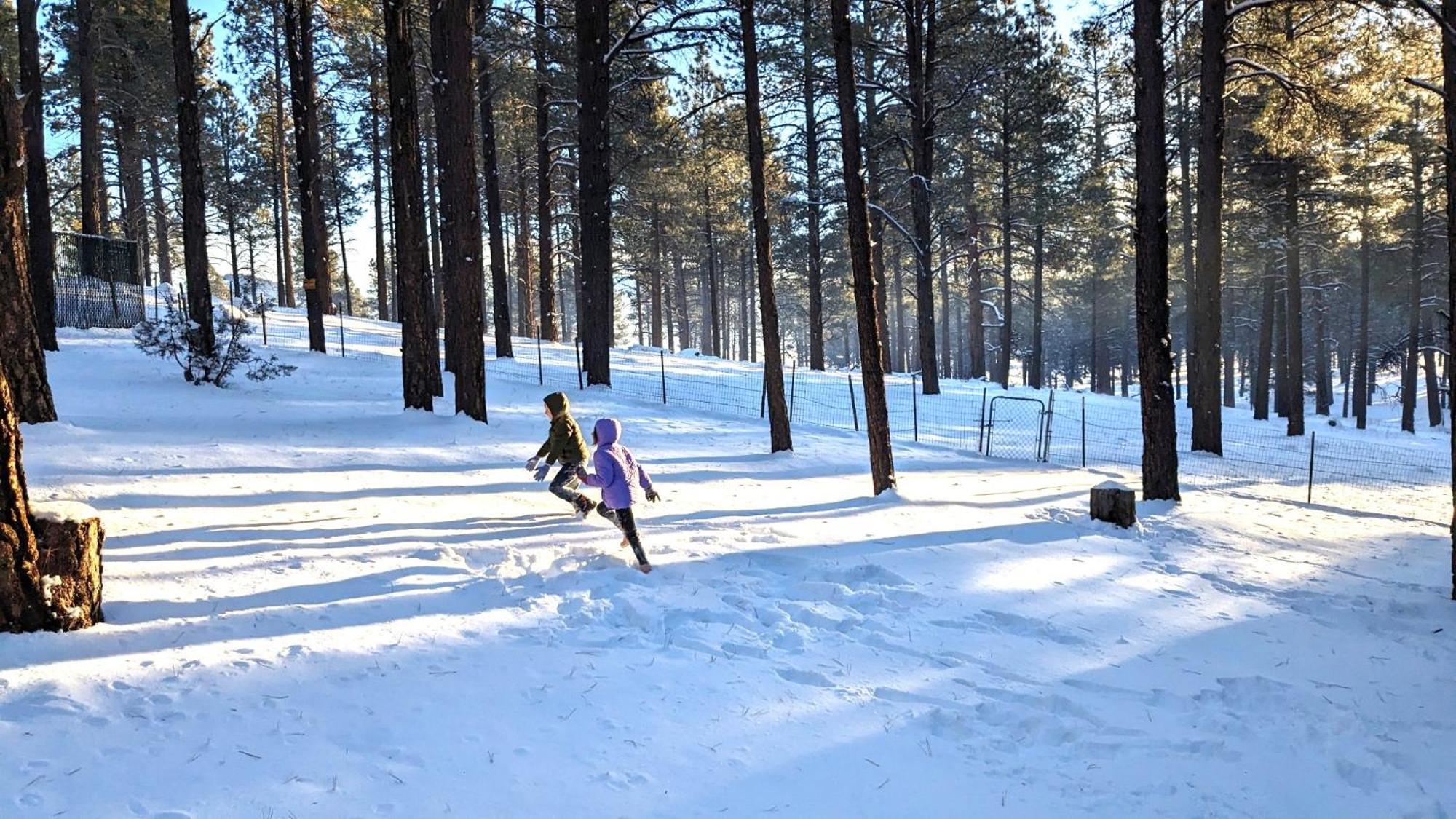 Close To Williams, Flagstaff, Grand Canyon And Sedona Extérieur photo