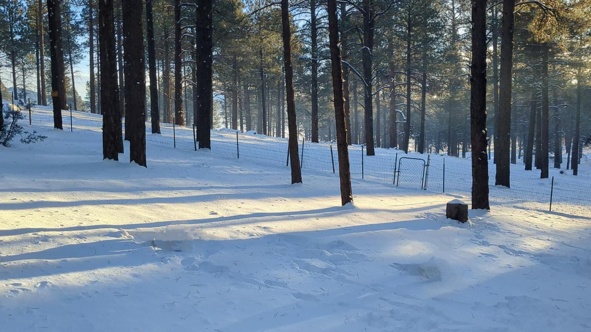 Close To Williams, Flagstaff, Grand Canyon And Sedona Extérieur photo