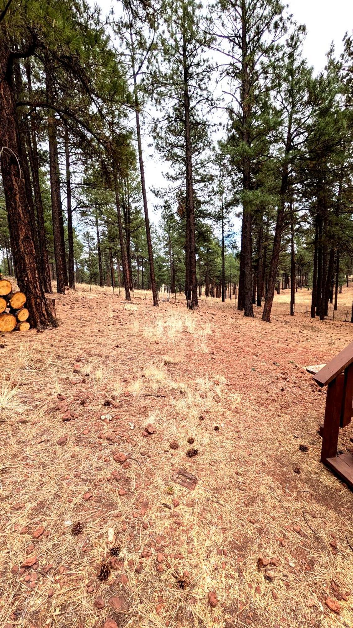 Close To Williams, Flagstaff, Grand Canyon And Sedona Extérieur photo